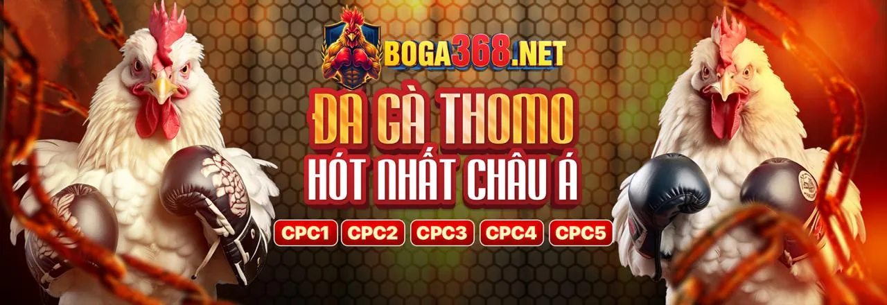 Hình ảnh chính về phát trực tiếp f169